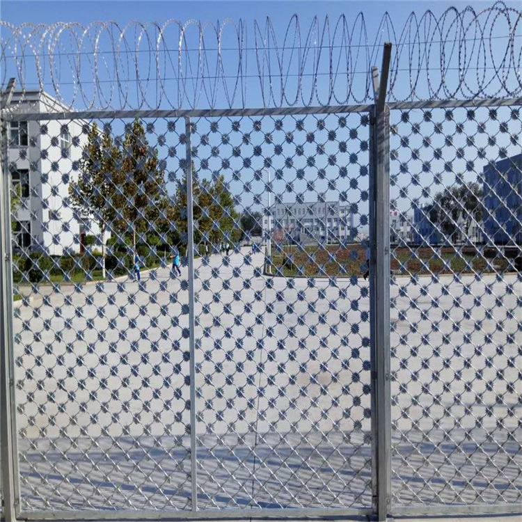 梅花刺隔離網(wǎng)